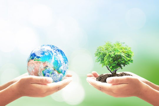 Two hands holding the earth and a plant in dirt